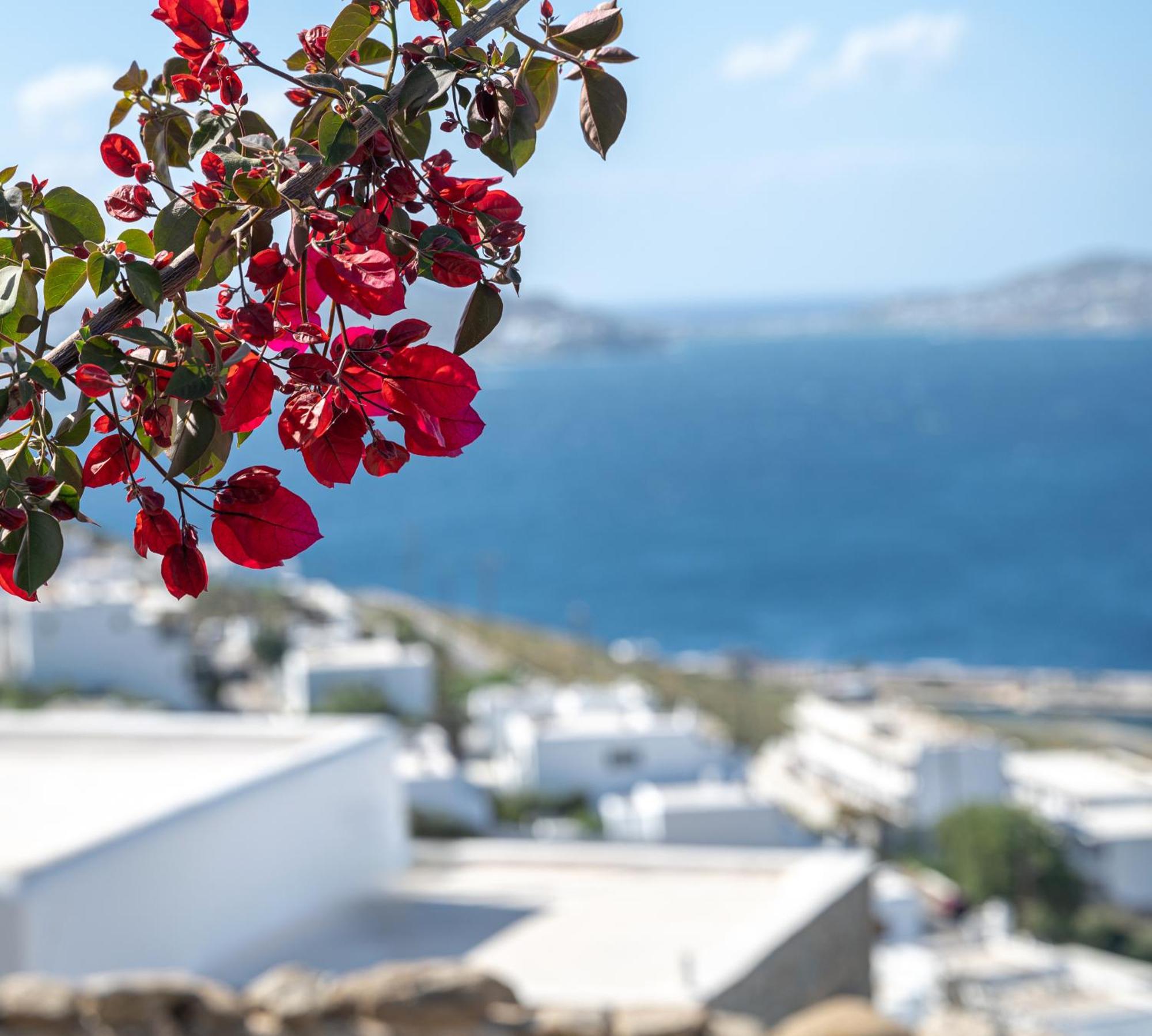 Amelie Suites Agios Stefanos  Exterior photo